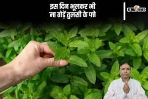 Tulsi Ke Upay in Hindi