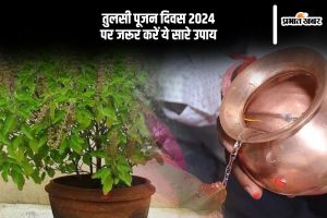 Tulsi Pujan Diwas 2024 Upay