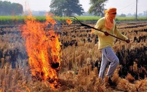 Stubble Burning in Bihar