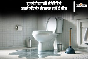 Vastu Tips for Toilet to remove negativity