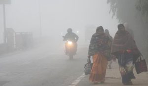 bihar cold wave alert| Bihar Weather: Icy winds increase the chill in Bihar, cold wave alert issued in these two districts