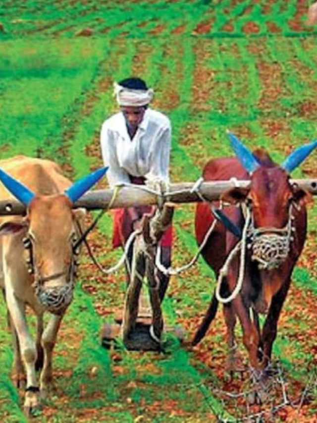 Cropped Farmer Jharkhand