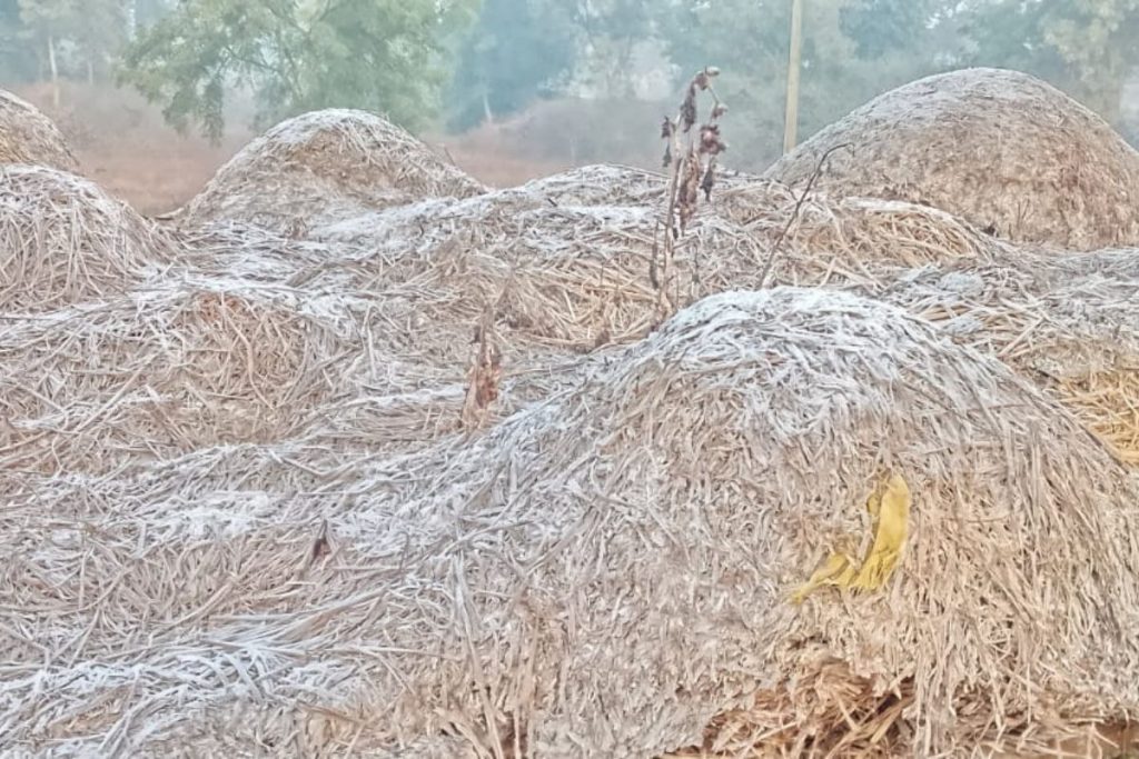 Jharkhand Ka Mausam