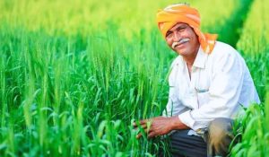 pm kisan samman nidhi yojana| These farmers will not get the benefit of 'PM Samman Nidhi Yojana' in Bihar