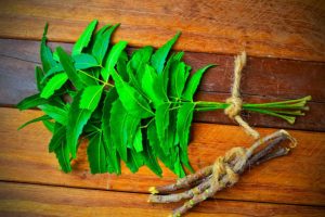 Benefits of Neem