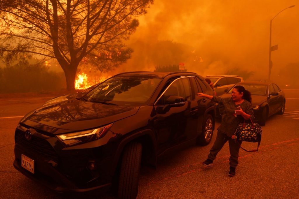 California Wildfire 11