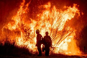 Los Angeles Wildfires