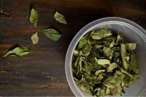 7 Tips to Store Curry Leaves: करी पत्तों को लंबे समय तक ताजा रखने के 7 आसान तरीका