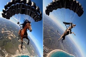 Dog Horse Skydiving AI Generated Video