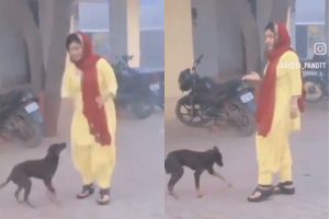 Girl dances with dog