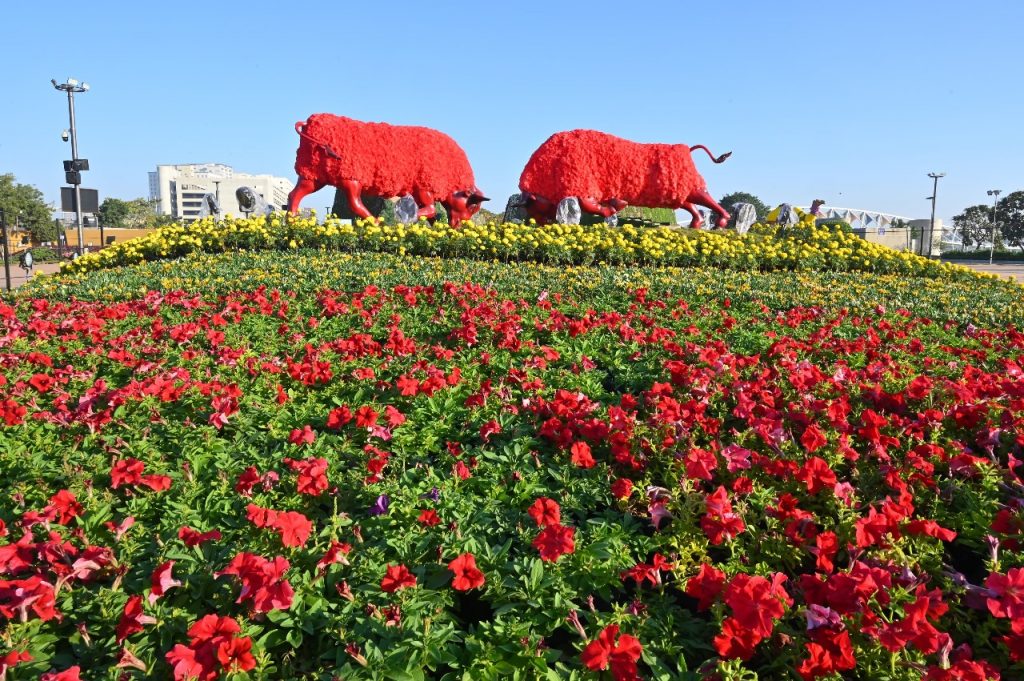 Modi praised Ahmedabad International Flower Show