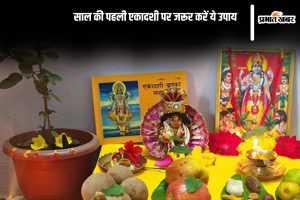 Pausha Putrada Ekadashi Upay in Hindi