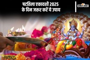 Shattila Ekadashi 2025 Upay