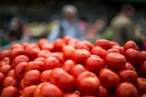 Tomato Price