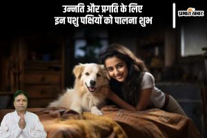 Vastu Tips lucky pets according to vastu