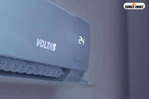 Voltas Share Price