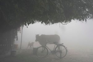 बिहार में अब बारिश होगी