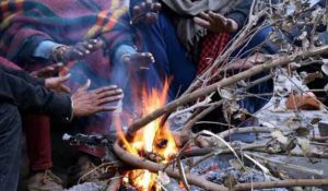 bihar news| Bihar News: Government will give subsidy on death due to cold in Bihar