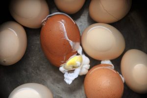 tips for boiling eggs