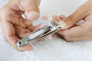 nail cutter