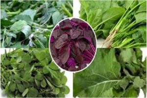 Healthy Vegetables for Winter