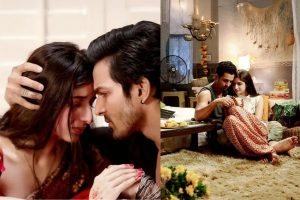 Sanam Teri Kasam Box Office