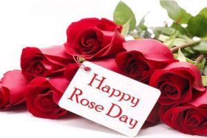 Happy Rose day 2025 live wishes