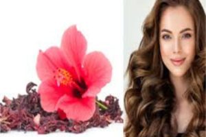 Hibiscus Flower Benefits For Hair