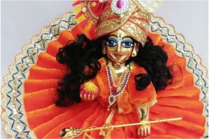 Laddu Gopal Pooja