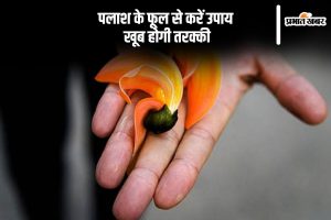 Palash Phool Ke Upay in Hindi