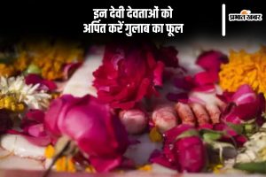 Rose Day 2025 which deities should offer rose flower