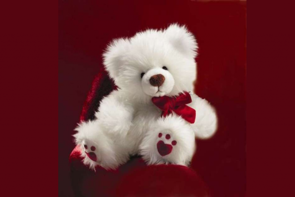 Teddy Day 2