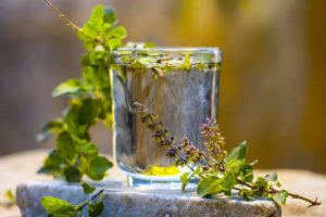 tulsi extract for health