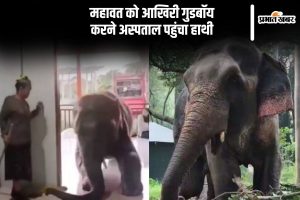 Viral Video: Elephant reaches hospital to say last goodbye to his caretaker