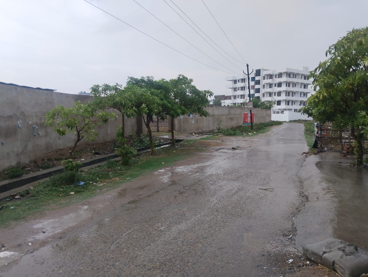 Bihar Weather Forecast Live: गोपालगंज के किसान बारिश के लिए तरस रहे, जानिए बिहार में मौसम का हाल