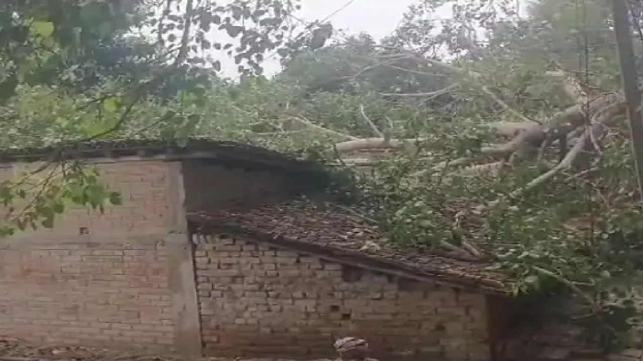 Bihar Weather Forecast Live: बिहार में मौसम विभाग का अलर्ट, कैमूर में ठनका व बारिश को लेकर चेतावनी