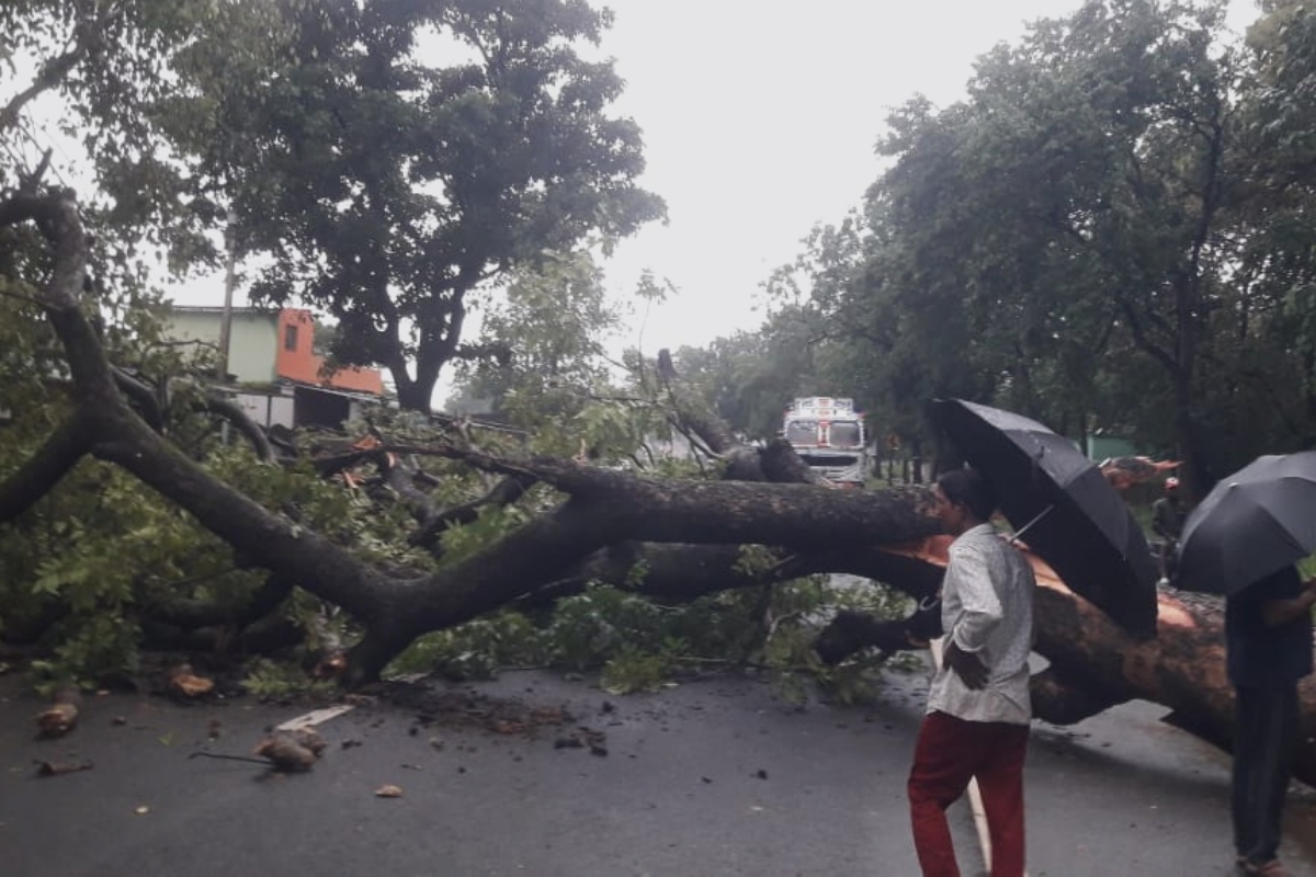 Jharkhand Weather Forecast LIVE: रांची में हो रही रिमझिम बारिश